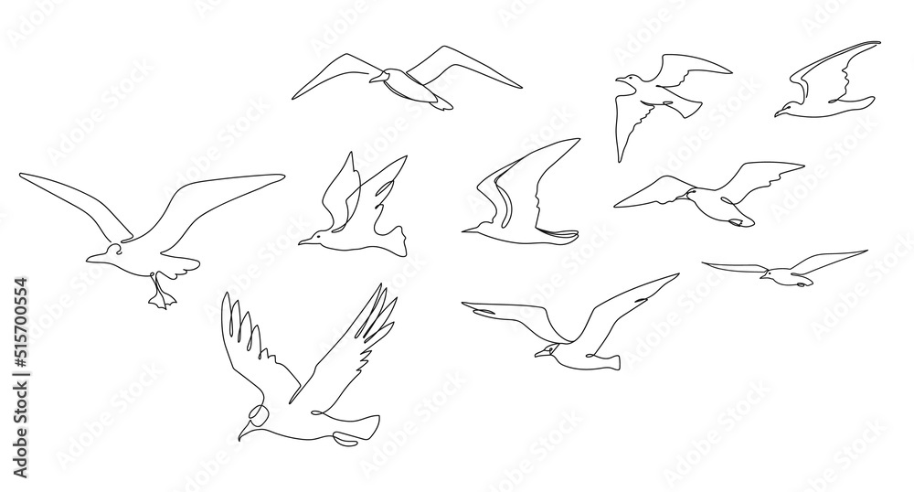 Flock of seagulls. Seabirds flying together, one line seagull and ocean birds vector sketch illustration