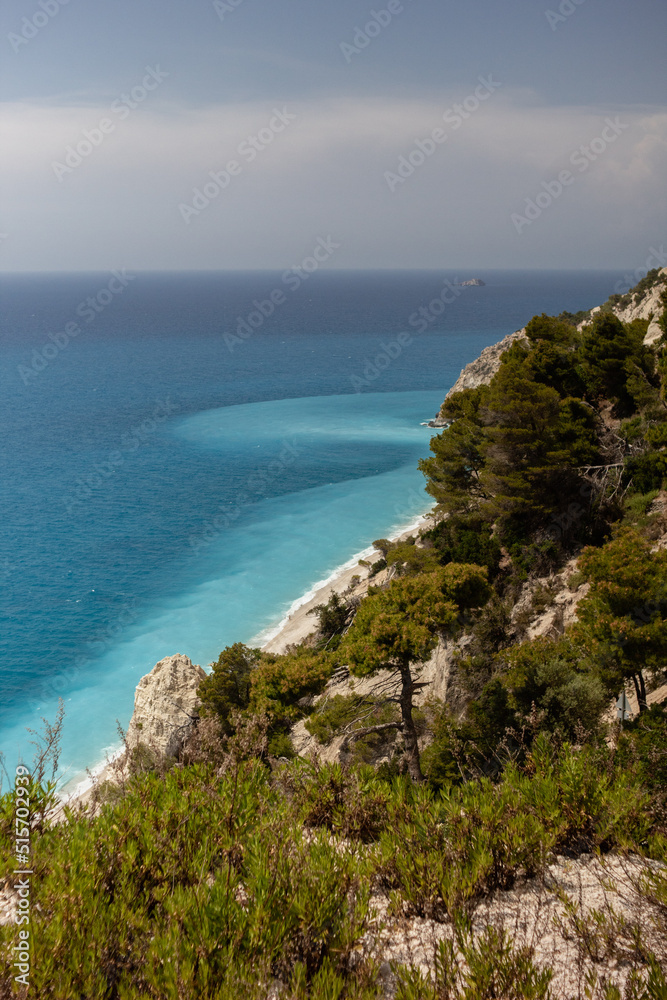 pine trees on a lefkas island coastline during summer vacation in greece pine trees on a lefkas island coastline during summer vacation in greece