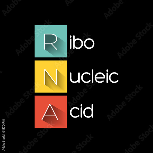 RNA Ribonucleic acid - polymeric molecule essential in various biological roles in regulation and expression of genes, acronym text concept background