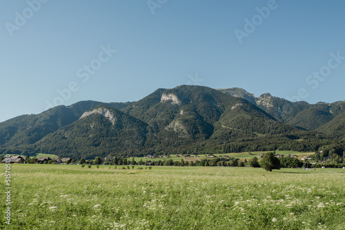 landscape in the mountains near the wolfgangsee in austria