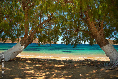 Fototapeta Naklejka Na Ścianę i Meble -  Livadakia beach on Serifos island in Greece