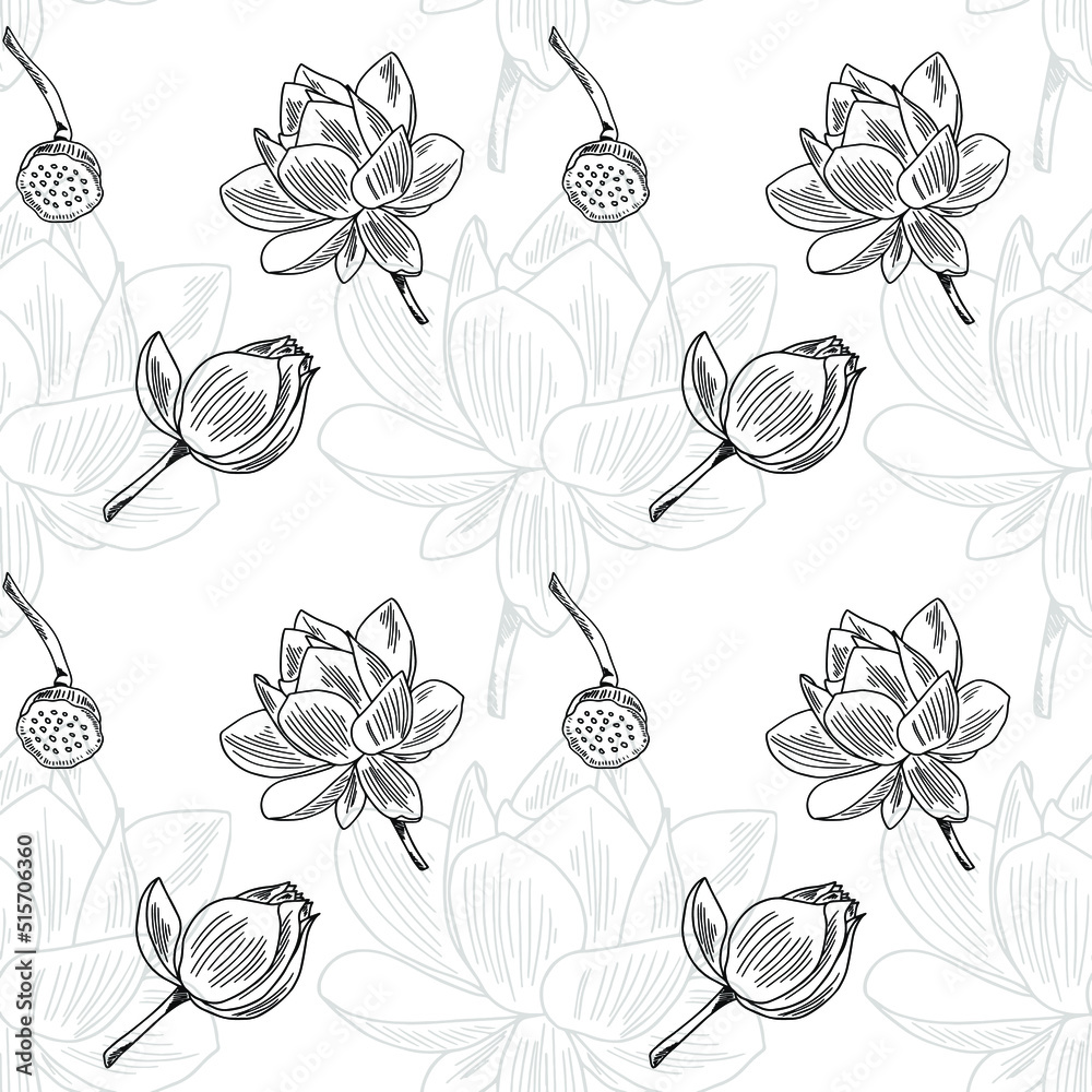 Lotus flower pattern. Floral seamless pattern. Water lily. Asia. Thailand. Lotus flowers on a white background. Lotus seamless pattern. Circuit. Monochrome. Textile print in vector.
