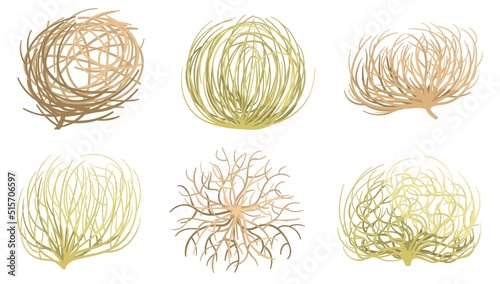 Cartoon tumbleweed. Western valleys and deserts plant, rolling dry tumble weed ball roots vector set