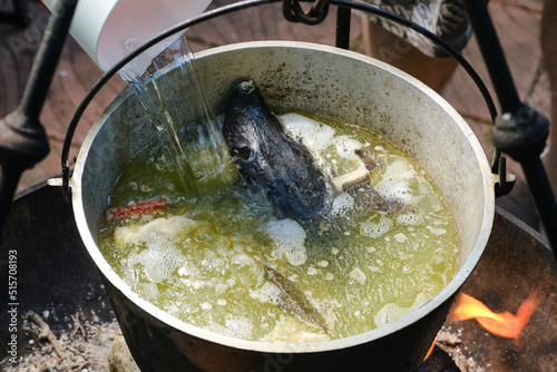 Cooking delicious fish soup or uha on a fire. Cast iron cauldron with boiling fish broth and head sturgeon. Shallow depth of field. photo