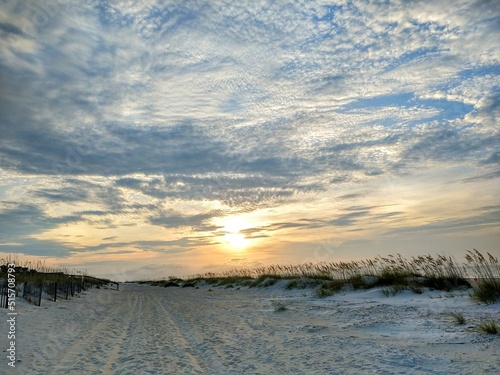 Beach Sunrise Cloudscape Over Seagrass