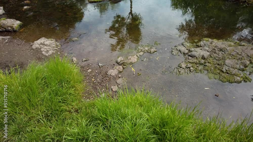 Small rural river in the Scottish countryside