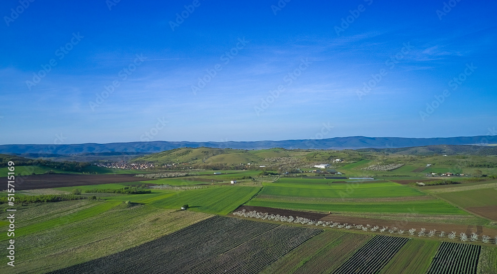 Aerial view of the green agricultural fields of a farm in early spring on a clear sunny day with blue skies. Agricultural and landscape aerial photography