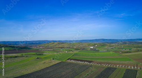 Aerial view of the green agricultural fields of a farm in early spring on a clear sunny day with blue skies. Agricultural and landscape aerial photography