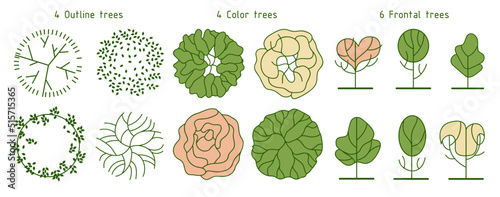 Tree for architectural floor plans. Entourage design. Various trees, bushes, and shrubs, top view for the landscape design plan. Vector illustration.