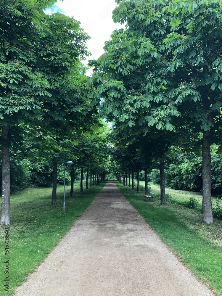 path in the park path in the park