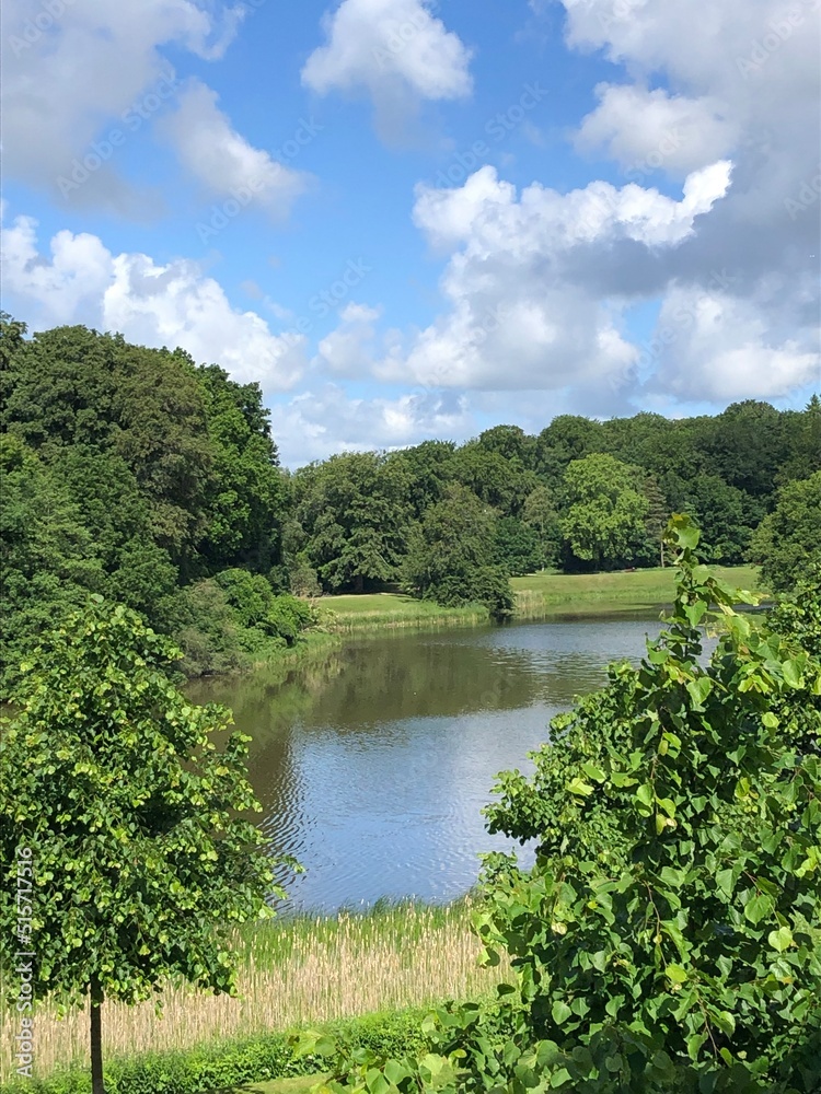 Fototapeta premium lake in the forest