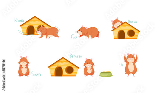 Visual material for kids education. Funny hamster demonstrating English language prepositions of place and verbs set vector illustration