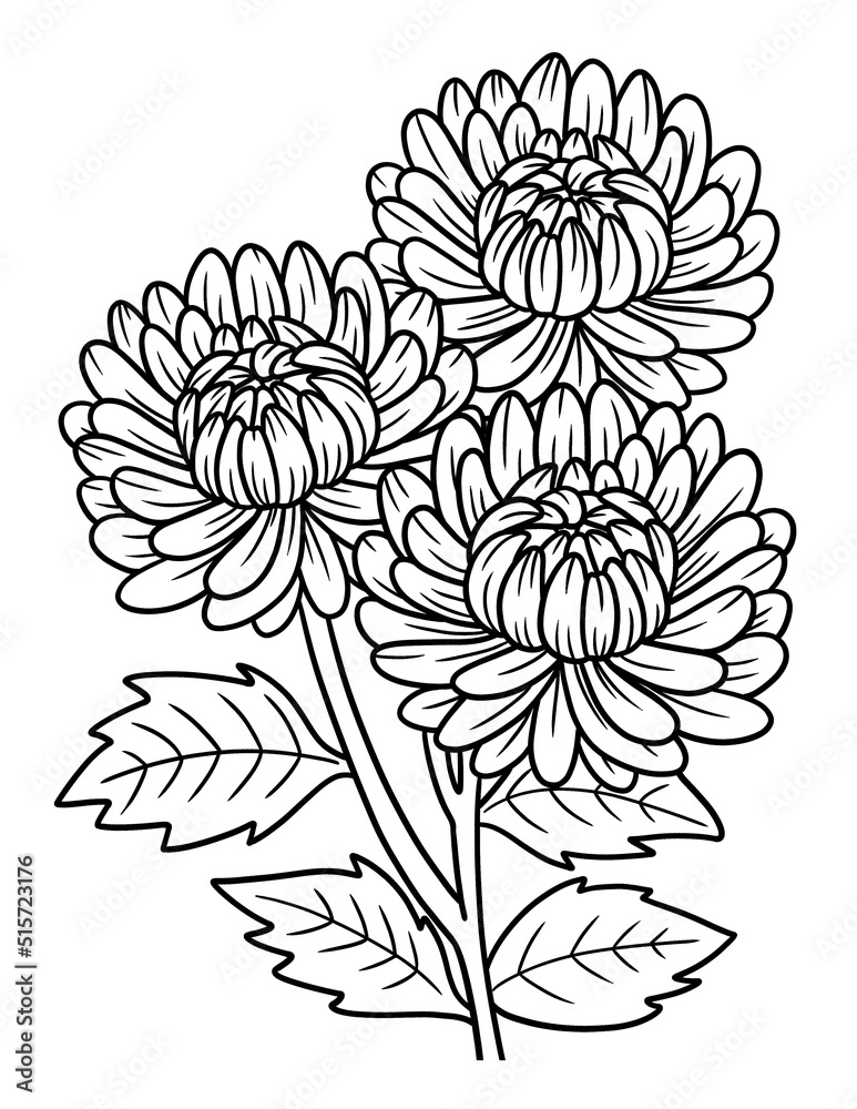 Chrysanthemums Flower Coloring Page for Adults Stock Vector | Adobe Stock