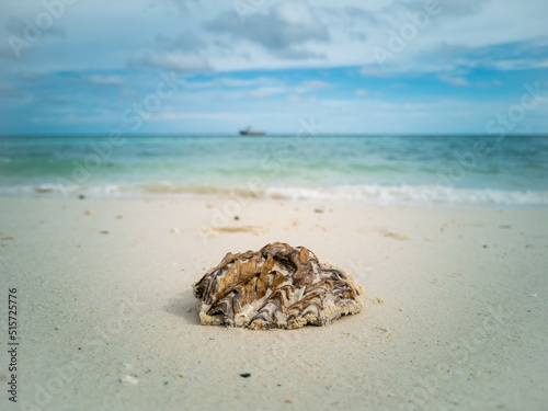 beach with sand