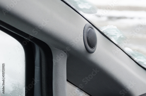 Car audio system. High frequency speaker in auto