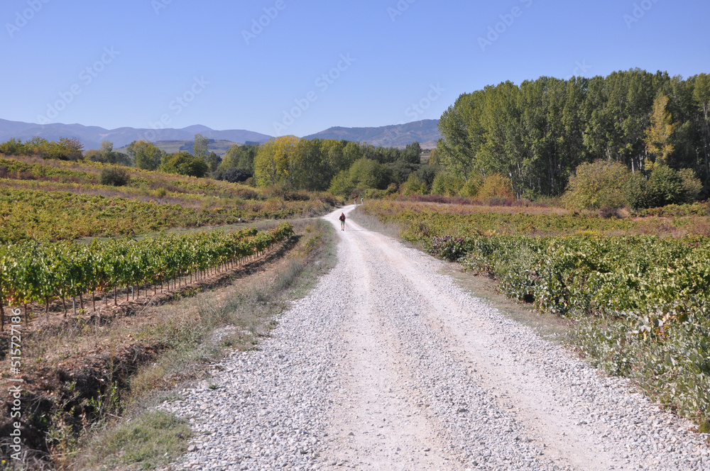 Camino de Santiago Spain