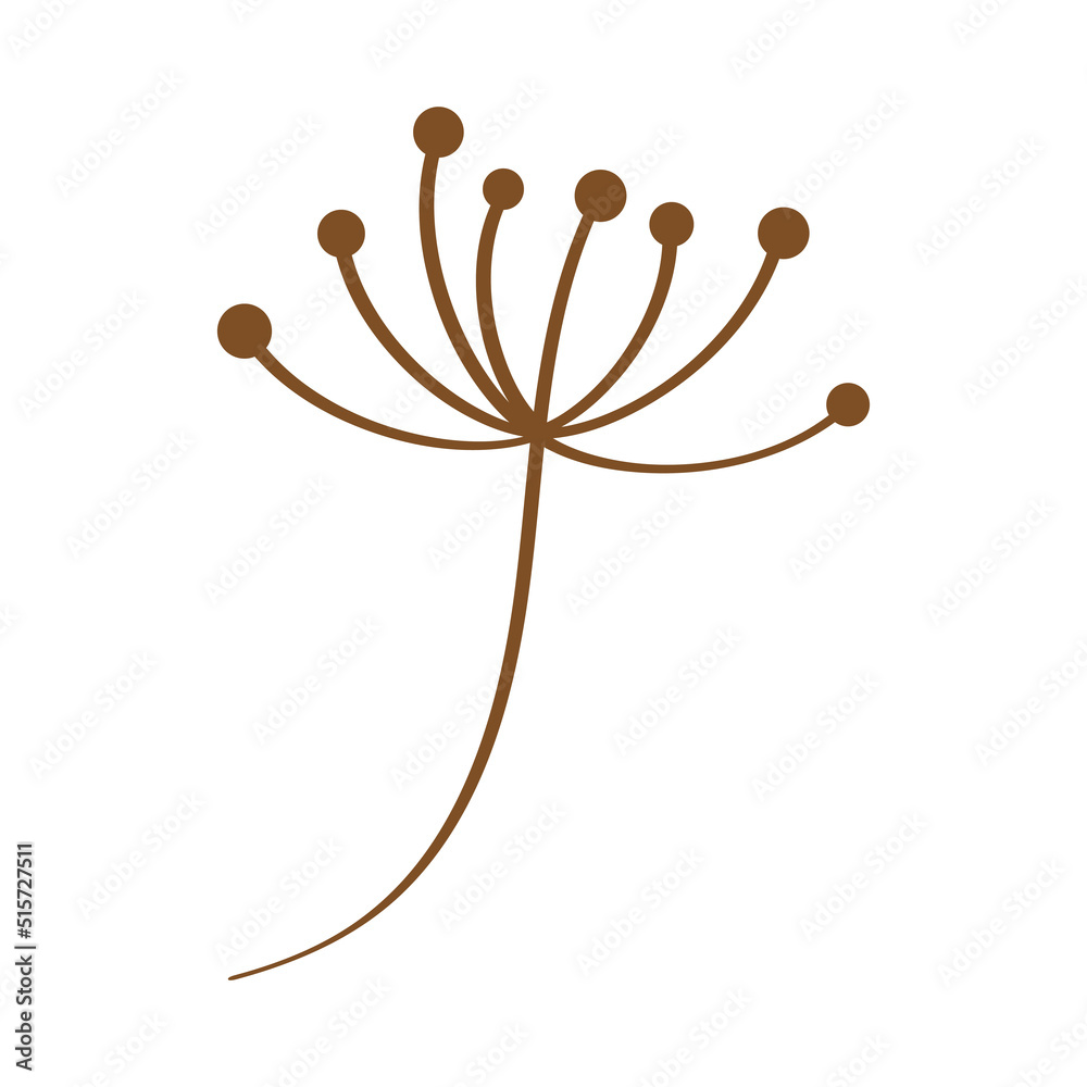 Obraz premium branch with seeds
