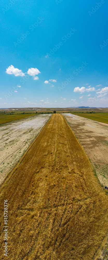 Fototapeta premium Aerial view of field of wheat.Ankara Turkey.