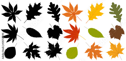 autumn leaves in flat style, isolated, vector