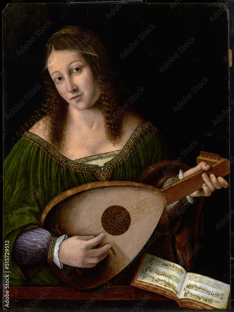 Bartolomeo Lady Playing a Lute; about 1530; Oil on panel; Stock