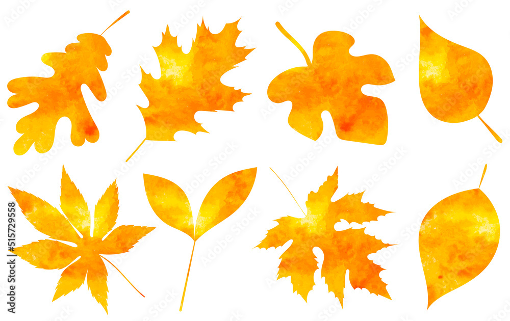 Fototapeta premium autumn leaves watercolor silhouette, isolated, vector