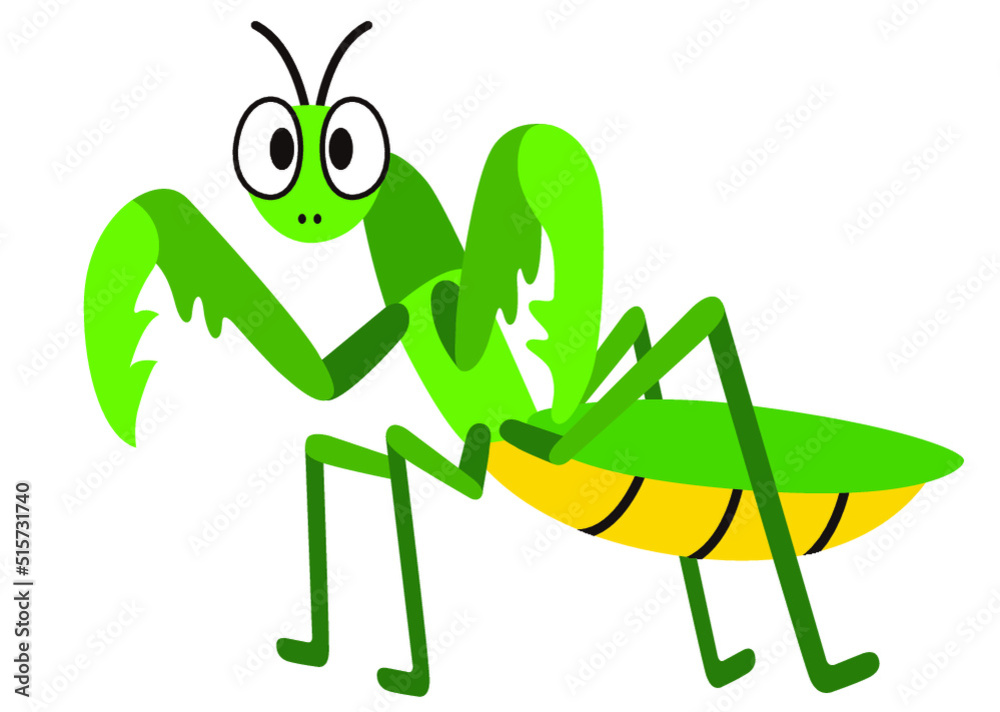カマキリ,昆虫,虫,夏,動物,虫取り,夏休み,鎌,緑,春,飼育,生き物,自然,生物,昆虫採集,7月,8月,かわいい,可愛い,挿絵,成虫 カマキリ,昆虫,虫,夏,動物,虫取り,夏休み,鎌,緑,春,飼育,生き物,自然,生物,昆虫採集,7月,8月,かわいい,可愛い,挿絵,成虫