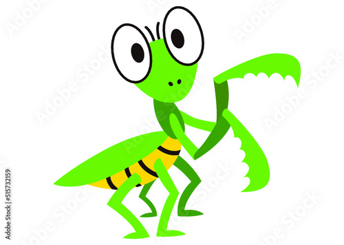 カマキリ,昆虫,虫,夏,動物,虫取り,夏休み,鎌,緑,春,飼育,生き物,自然,生物,昆虫採集,７月,８月,かわいい,可愛い,挿絵,成虫