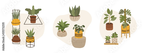 Trendy scandinavian boho potted plants for home. Cozy home garden. Different houseplants isolated on white background.