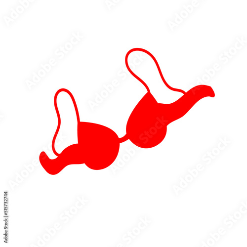 Bra on a white background.Womens underwear. Vector illustration