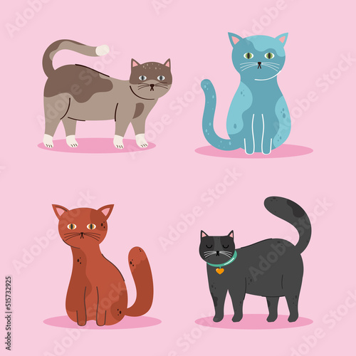 Fototapeta Naklejka Na Ścianę i Meble -  four cute cats pets