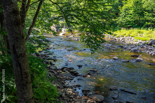 Winhall River in Winhall Brook Campground  Vermont