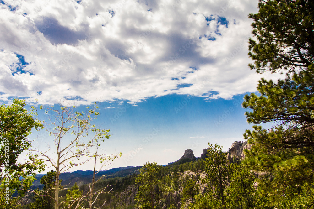 Obraz premium View from the Needles Highway in Summer, Custer State Park, South Dakota