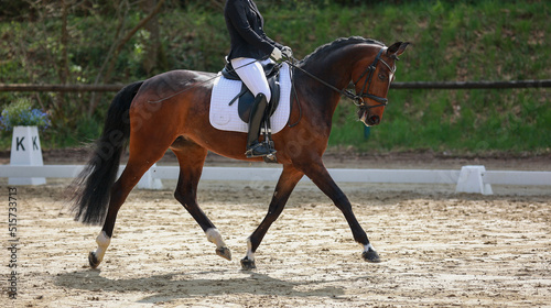 Dressage horse with rider during a dressage test at a strong trot..