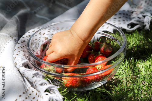 Summer picnic. Little child taking a sweet tasty strawberry from the glass bowl