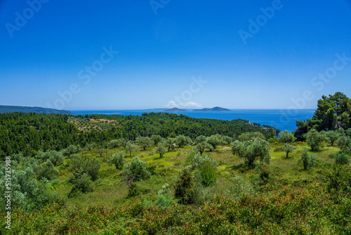 Beautiful natural scenery on the road to Megali Ammos or large sand beach in western Alonissos island  Greece