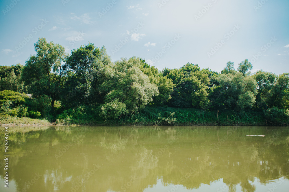 Fototapeta premium river and trees
