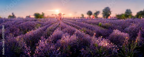 Panorama of the Lavender field at sunset. Lavender garden, Provence. Beautiful sunset. Blurred background, bokeh light. 3D illustration.