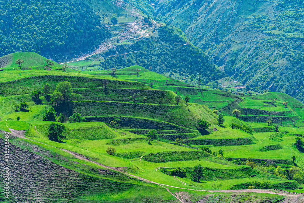 mountain landscape with green agricultural terraces on the slopes