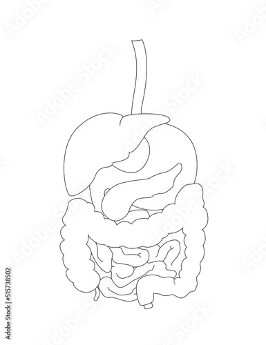 Concept of human digestive system. Outline illustration for banner, book cover, educational use.