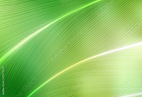 Light Green, Yellow vector pattern with wry lines.