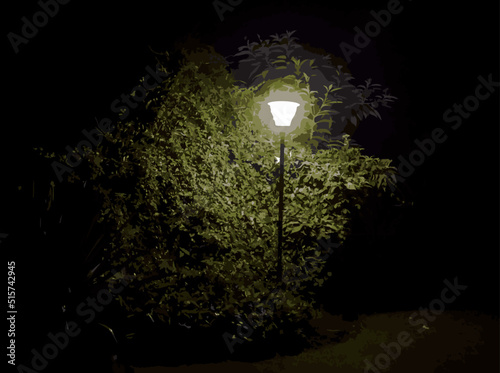 electric lamp in the garden at night 