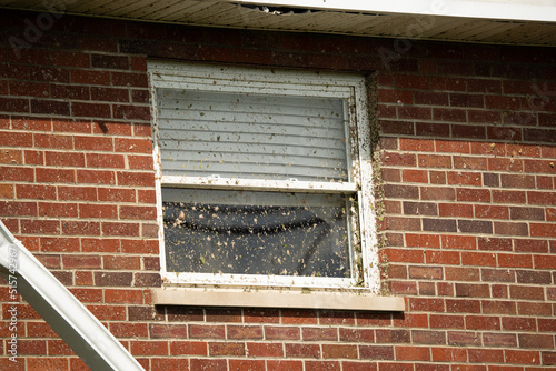 Damaged home after Goshen Ohio tornado, north of Cincinnati with muddy windows