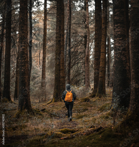 Solo Female Backpacker walking in Forest 