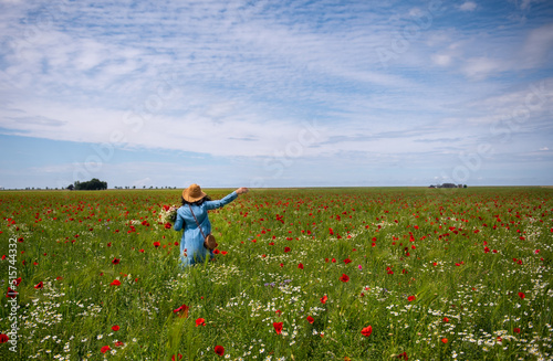 poppy field. beautiful view of the poppy field. girl in the poppy field.