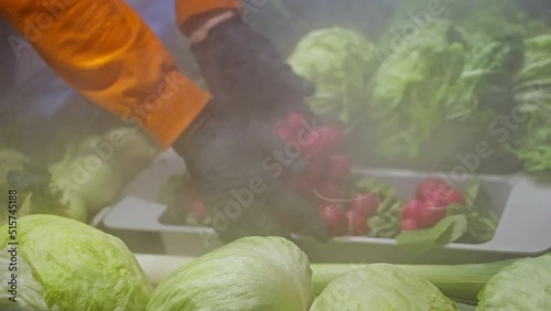 Fresh vegetables in greengrocery fridge