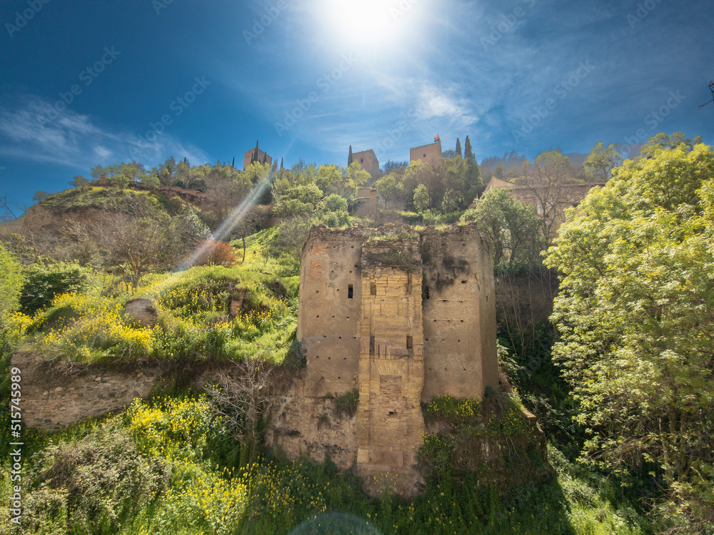 View of the Alhambra in Granada seen from the Albayzin district