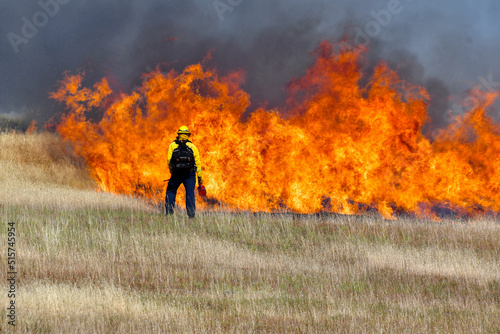 Wildland fire fighter starts back fire photo