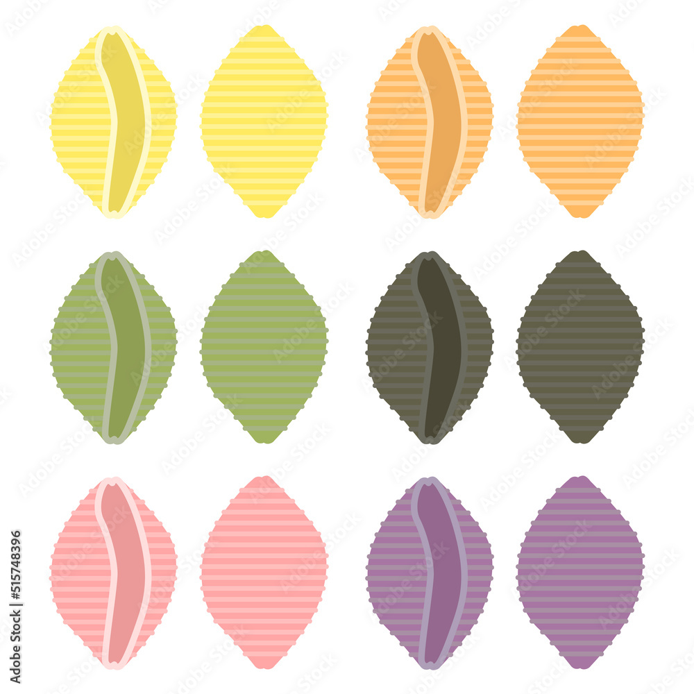 Fototapeta premium コンキリエのイラスト