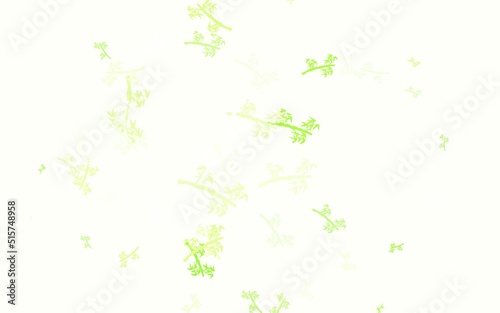 Light Green vector natural backdrop with branches.