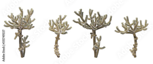 Wallpaper Mural Cactus and palms on a white background. Torontodigital.ca